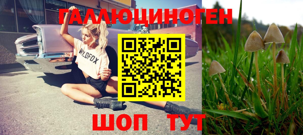 Псилоцибиновые грибы мухоморы Дзержинский