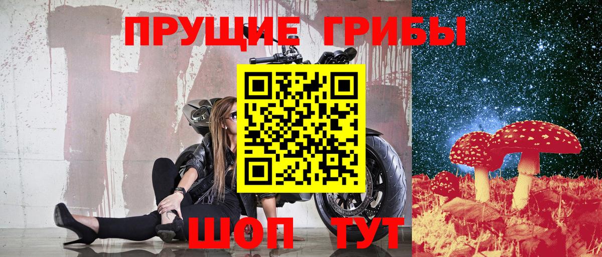 Галлюциногенные грибы GOLDEN TEACHER  Вход с VPN  Галлюциногенные грибы Psilocybine cubensis  Дзержинский 
